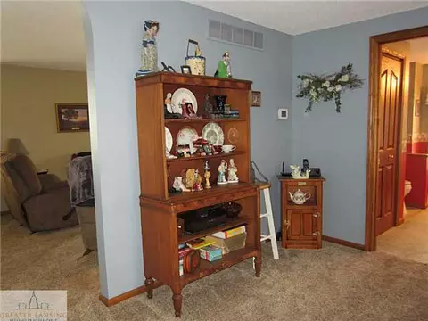 572 W Hayes Rd, Ithaca, MI 48847 photo 7