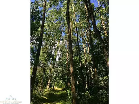 6337 Sleight, Bath, MI 48808 photo 8