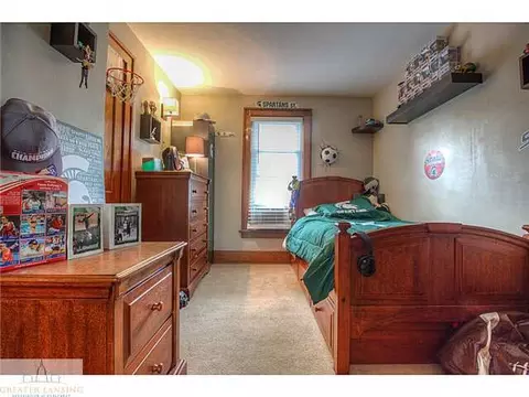 113 Wilson St, Dewitt, MI 48820 photo 13