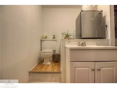 113 Wilson St, Dewitt, MI 48820 photo 14