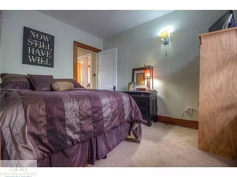 113 Wilson St, Dewitt, MI 48820 photo 12