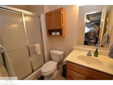 96 Three Oaks, Okemos, MI 48864 photo 20