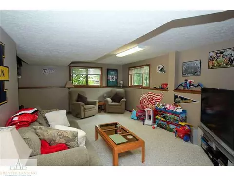 11681 Hidden Ridge Dr, Dewitt, MI 48820 photo 20