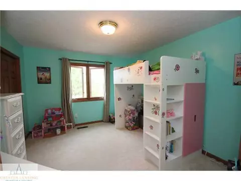 11681 Hidden Ridge Dr, Dewitt, MI 48820 photo 14