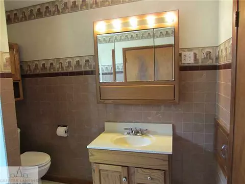5497 Maple Rd, Saint Johns, MI 48879 photo 7