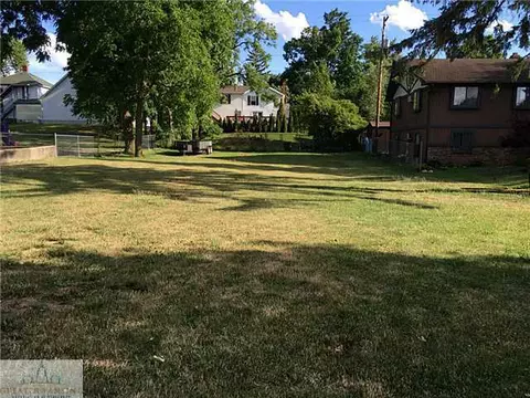 117 W Madison St, Dewitt, MI 48820 photo 1