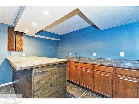 3900 White Pine Dr, Dewitt, MI 48820 photo 21