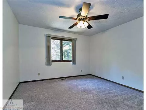 3900 White Pine Dr, Dewitt, MI 48820 photo 18