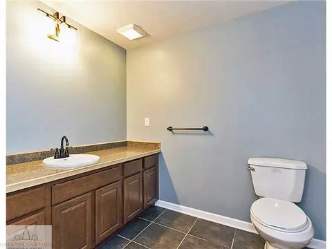 3900 White Pine Dr, Dewitt, MI 48820 photo 22