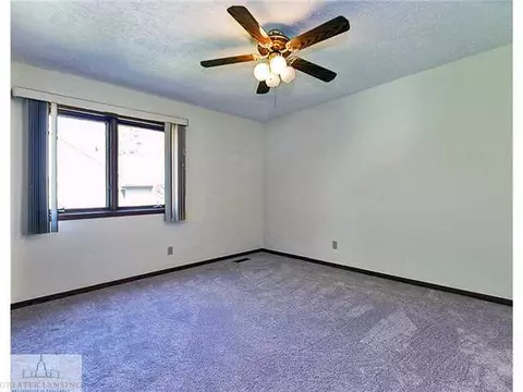 3900 White Pine Dr, Dewitt, MI 48820 photo 17