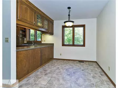 3900 White Pine Dr, Dewitt, MI 48820 photo 12