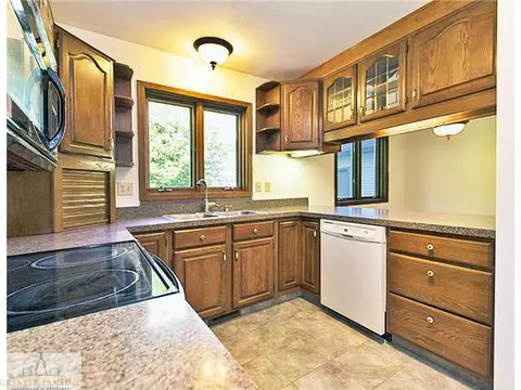 3900 White Pine Dr, Dewitt, MI 48820 photo 11