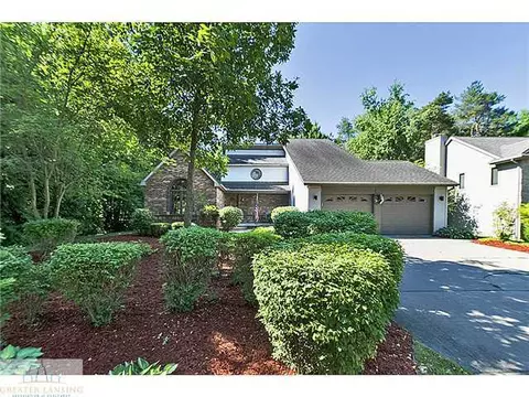 3900 White Pine Dr, Dewitt, MI 48820 photo 2