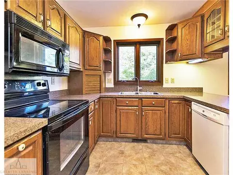 3900 White Pine Dr, Dewitt, MI 48820 photo 10