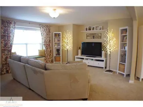 13232 Addington, Dewitt, MI 48820 photo 3