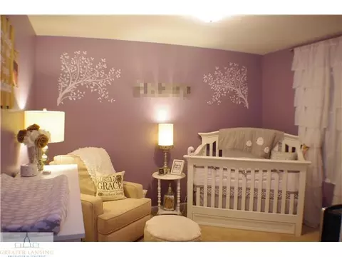 13232 Addington, Dewitt, MI 48820 photo 15