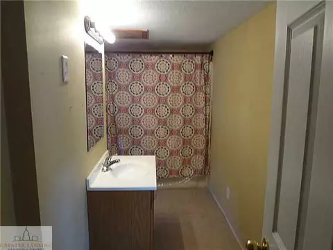 314 Spring, Grand Ledge, MI 48837 photo 10