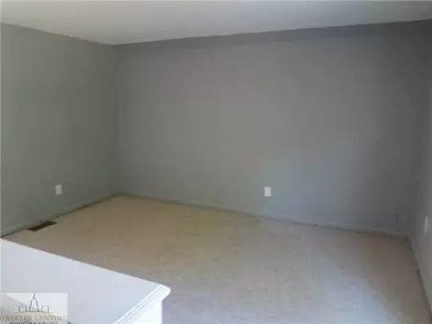 314 Spring, Grand Ledge, MI 48837 photo 12