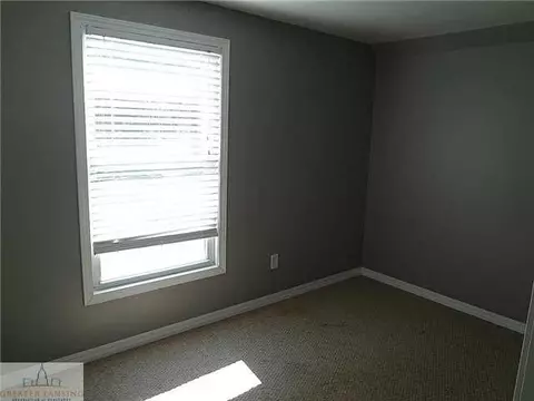 314 Spring, Grand Ledge, MI 48837 photo 13