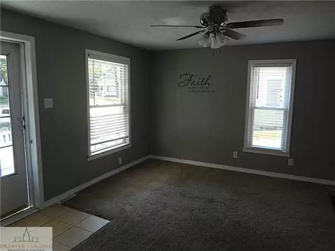 314 Spring, Grand Ledge, MI 48837 photo 4