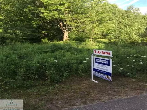 3129 Pawapi Ln, Williamston, MI 48895 photo 2