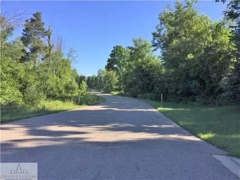 3129 Pawapi Ln, Williamston, MI 48895 photo 3