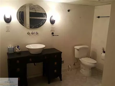 1821 Persimmon Path, Holt, MI 48842 photo 24