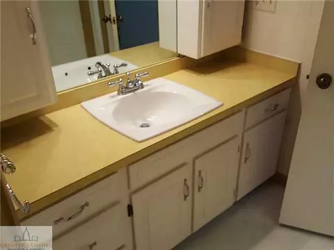 1821 Persimmon Path, Holt, MI 48842 photo 19