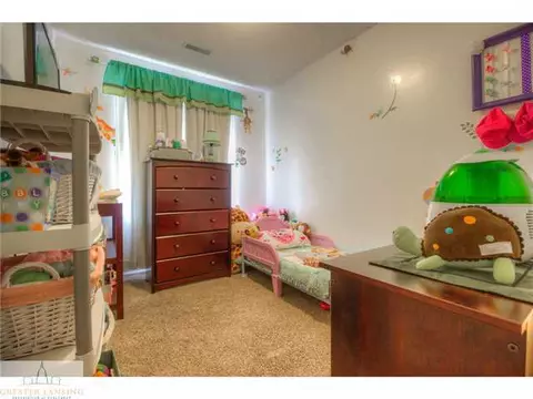 13809 Webster Rd, Bath, MI 48808 photo 6