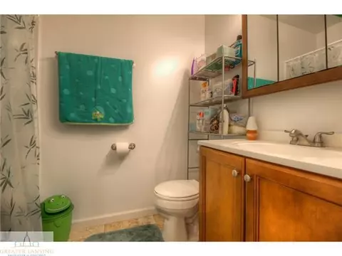 13809 Webster Rd, Bath, MI 48808 photo 10