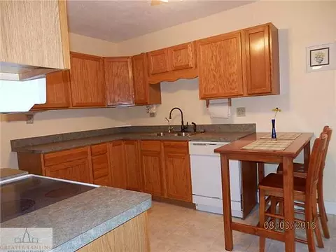 410 N N Brg, Dewitt, MI 48820 photo 6