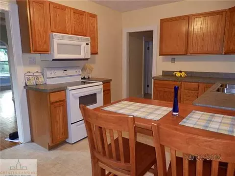 410 N N Brg, Dewitt, MI 48820 photo 8