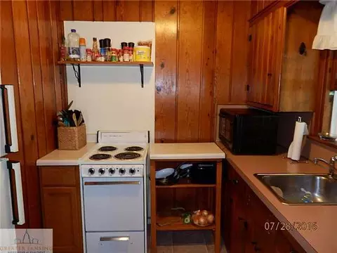 410 N N Brg, Dewitt, MI 48820 photo 21
