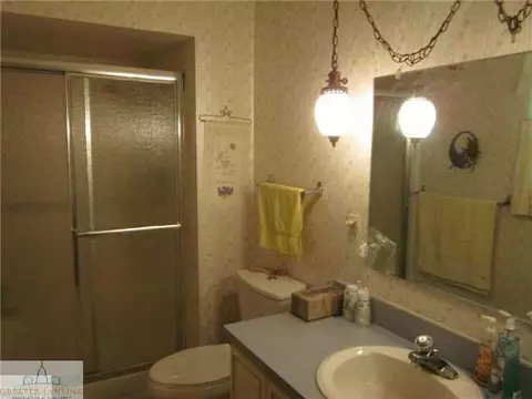 6471 Lansdown Dr, Dimondale, MI 48821 photo 18