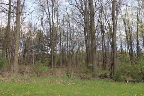 2630 Navigator, Lansing, MI 48911 photo 1