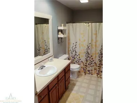 1347 Sanborn Dr, Dewitt, MI 48820 photo 13