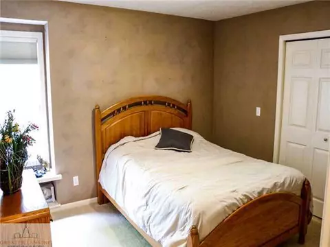 1347 Sanborn Dr, Dewitt, MI 48820 photo 11