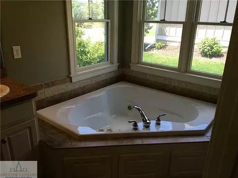 3652 Winborn Dr, Dewitt, MI 48820 photo 10