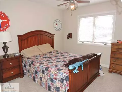 13295 Speckledwood Dr, Dewitt, MI 48820 photo 12