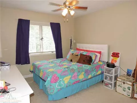 13295 Speckledwood Dr, Dewitt, MI 48820 photo 11