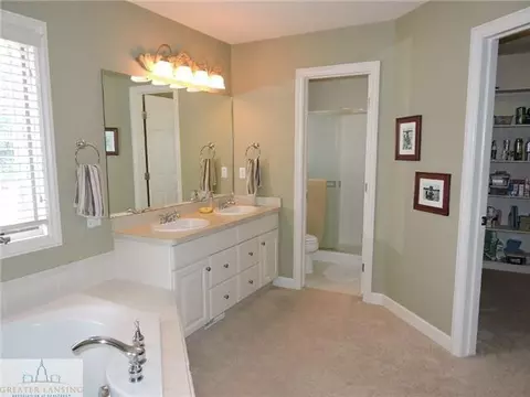 13295 Speckledwood Dr, Dewitt, MI 48820 photo 9