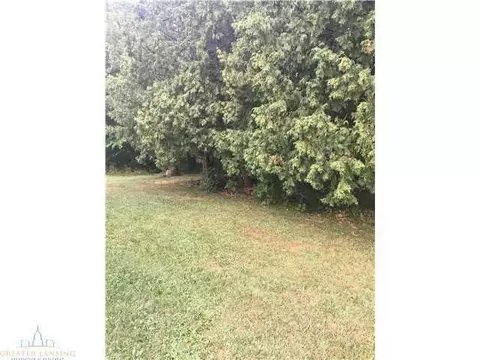 920 Divison St, Owosso, MI 48867 photo 5