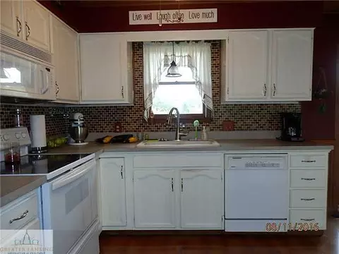 8970 E Maple Rapids Rd, Elsie, MI 48831 photo 10