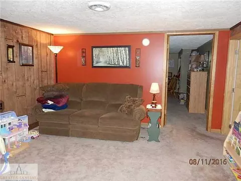 8970 E Maple Rapids Rd, Elsie, MI 48831 photo 11