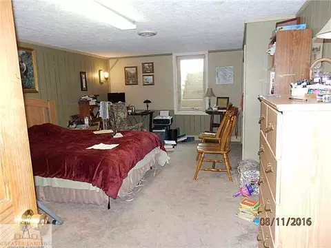 8970 E Maple Rapids Rd, Elsie, MI 48831 photo 21