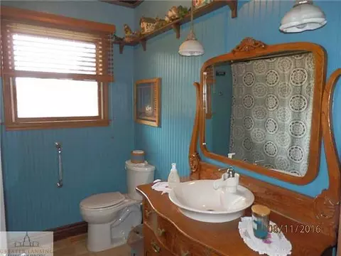 8970 E Maple Rapids Rd, Elsie, MI 48831 photo 14