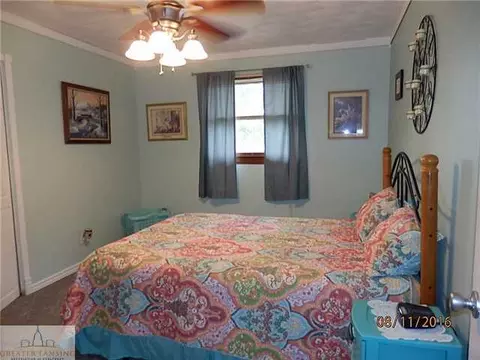 8970 E Maple Rapids Rd, Elsie, MI 48831 photo 15