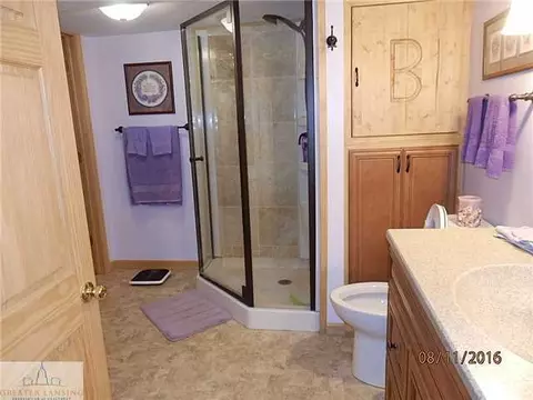 8970 E Maple Rapids Rd, Elsie, MI 48831 photo 19