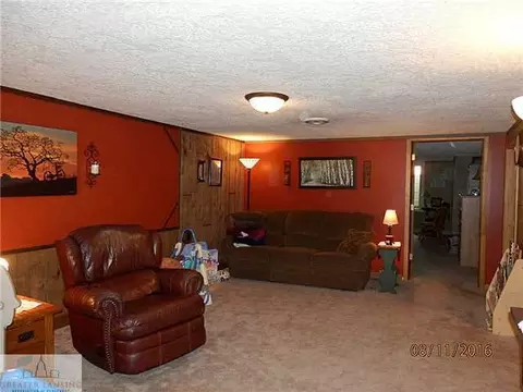 8970 E Maple Rapids Rd, Elsie, MI 48831 photo 13