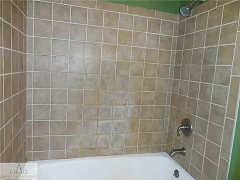 1778 E Webb Rd, Dewitt, MI 48820 photo 18